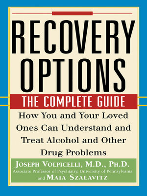 cover image of Recovery Options